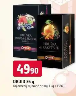 Trefa DRUID 36 g HRUSKA & RAKYTNÍK nabídka