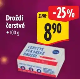 Albert Droždí čerstvé nabídka