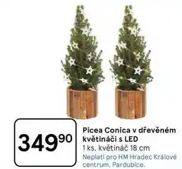 Tesco Picea Conica v dřevěném květináči s LED, 1 ks. květináč 18 cm nabídka