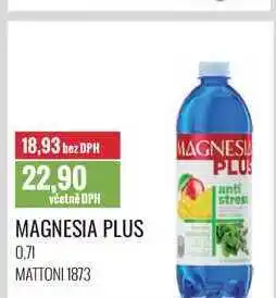 Ratio MAGNESIA PLUS 0,7l nabídka