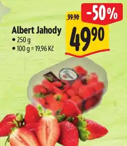 Albert Albert Jahody nabídka