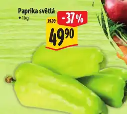 Albert Paprika světlá nabídka