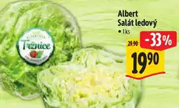 Albert Albert Salát ledový nabídka