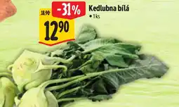 Albert Kedlubna bílá nabídka