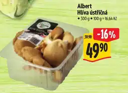Albert Albert Hlíva ústřičná nabídka