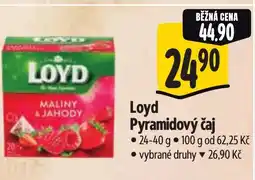 Albert Loyd Pyramidový čaj nabídka