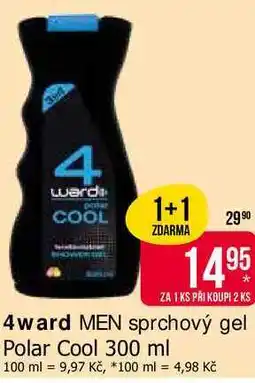 Teta 4ward MEN sprchový gel Polar Cool 300 ml nabídka