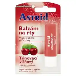 Tamda Foods Astrid Balzám na rty tónovací/perleťový 4,2g, vybrané druhy nabídka