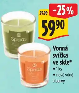 Albert Vonná svíčka ve skle nabídka