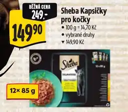 Albert Sheba Kapsičky pro kočky nabídka