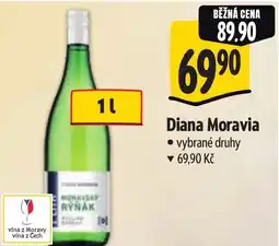 Albert Diana Moravia nabídka