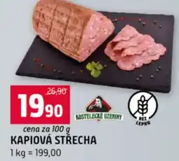 Terno Kapiová střecha nabídka
