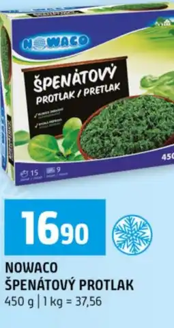 Terno Nowaco špenátový protlak nabídka