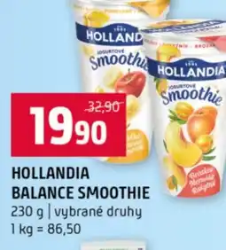 Terno Hollandia balance smoothie nabídka