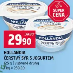 Terno Hollandia čerstvý sýr s jogurtem nabídka