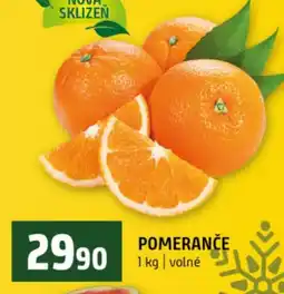 Terno Pomerance nabídka