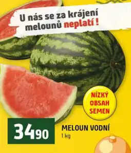 Terno Meloun vodní nabídka