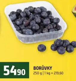 Terno Borůvky nabídka