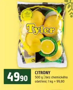Terno Citrony nabídka