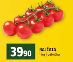 Terno Rajčata nabídka