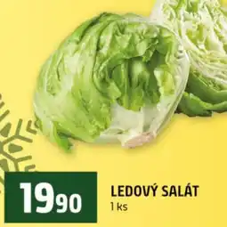 Terno Ledový salát nabídka