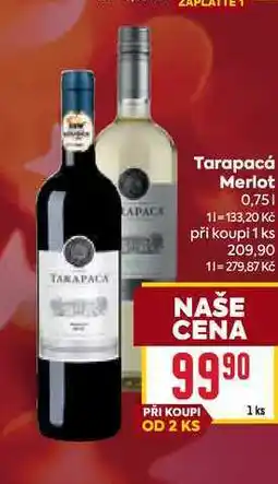Billa Tarapacá Merlot 0,75l nabídka