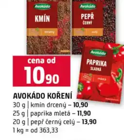 Terno Avokádo koření nabídka