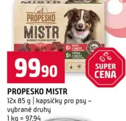 Terno Propesko mistr nabídka