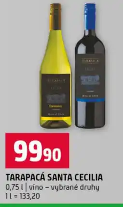 Terno Tarapacá santa cecilia nabídka