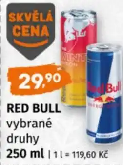 Terno Red bull nabídka