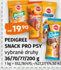Terno Pedigree snack pro psy nabídka