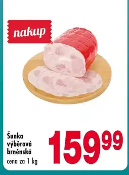 Qanto Šunka výběrová brněnská nabídka