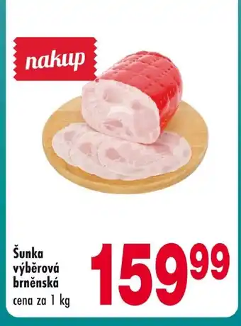 Qanto Šunka výběrová brněnská nabídka