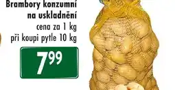 Qanto Brambory konzumní na uskladnění nabídka