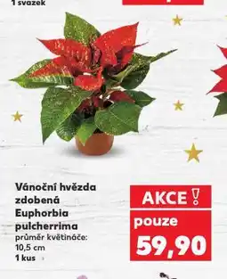 Kaufland Vánoční hvězda zdobená nabídka