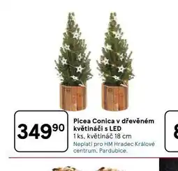 Tesco Picea conisa v dřevěném květináči s led nabídka