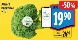 Albert Brokolice nabídka
