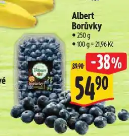 Albert Borůvky nabídka