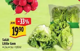 Albert Salát little gem nabídka