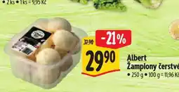 Albert Žampiony čerstvé nabídka