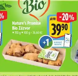 Albert Bio zázvor nabídka