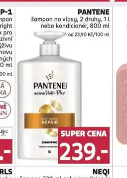 Rossmann Pantene kondicioner nabídka