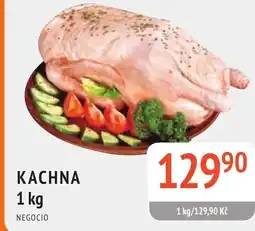 Coop hb Kachna nabídka