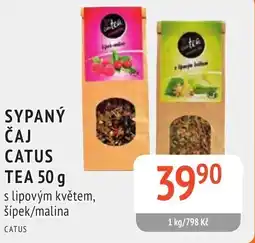 Coop hb Sypaný čaj catus tea nabídka