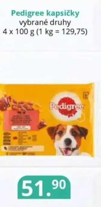 Potraviny CZ Pedigree kapsičky nabídka