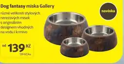 Super Zoo Dog fantasy miska Gallery nabídka