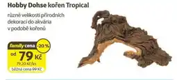 Super Zoo Hobby Dohse kořen Tropical nabídka