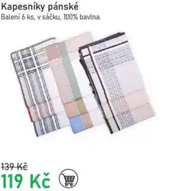 Vesna Kapesníky pánské nabídka