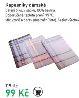 Vesna Kapesníky dámské nabídka
