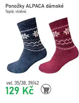 Vesna Ponožky ALPACA dámské nabídka